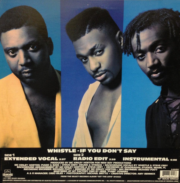 Whistle : If You Don't Say (12", Maxi)
