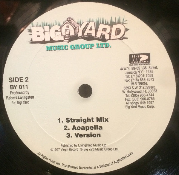Brian & Tony Gold Featuring Shaggy : You Give Me Your Love (12")