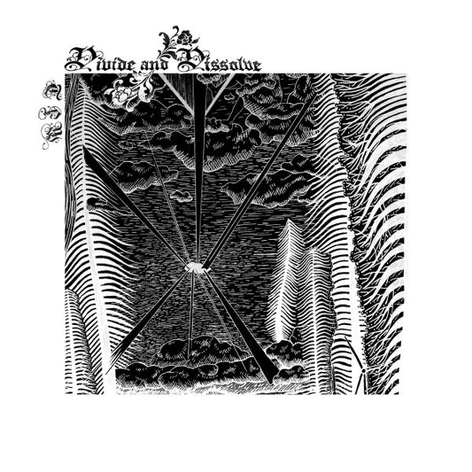 Divide and Dissolve : TFW (7", Ltd)