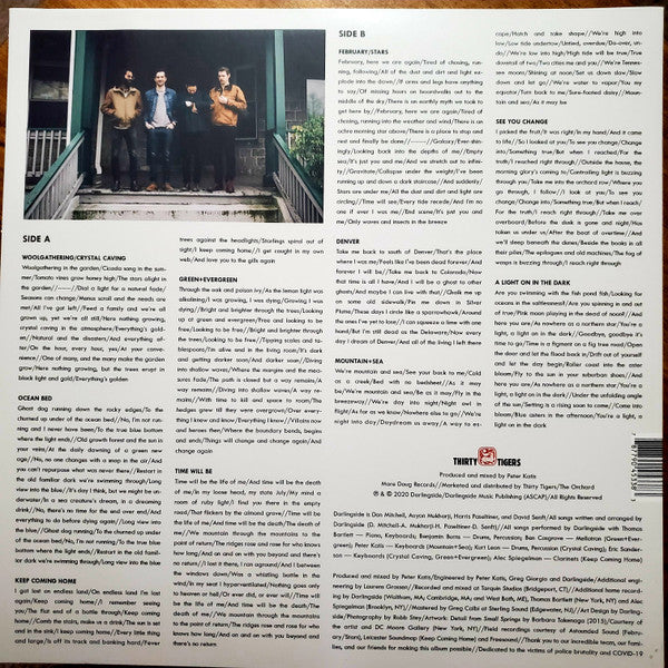 Darlingside : Fish Pond Fish (LP, Album)