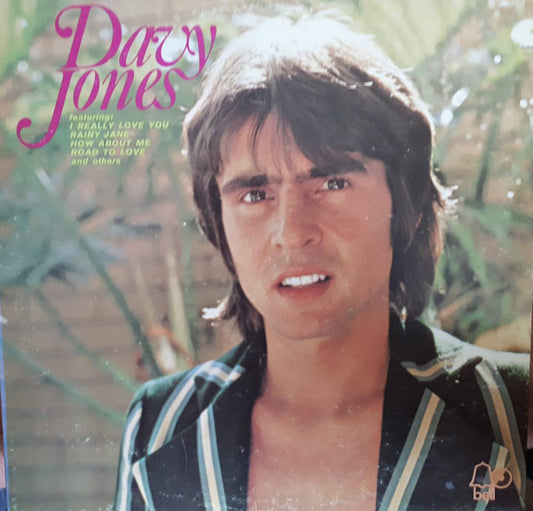 Davy Jones : Davy Jones (LP, Album, Bes)