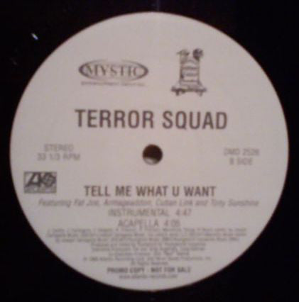 Terror Squad Featuring Fat Joe, Armageaddon*, Cuban Link And Tony Sunshine : Tell Me What U Want (12", Promo)