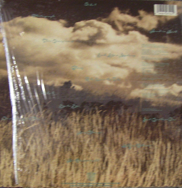 We Are Going To Eat You : Everywhen (LP, Album)