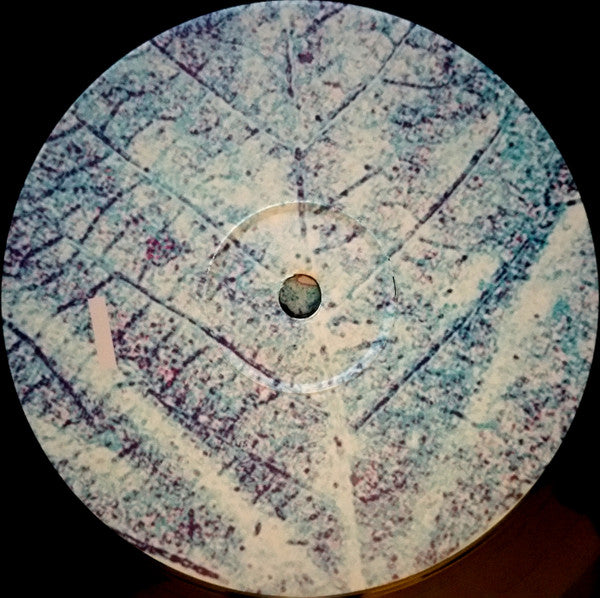 Various : Leaf (2xLP, Comp)