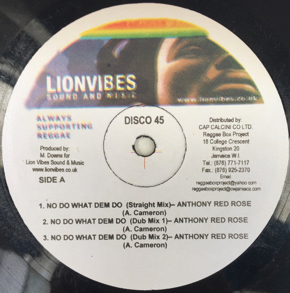 Anthony Red Rose / Robert Lee (2) : No Do What Dem Do / War Is Not The Answer (12", Maxi, Ltd)