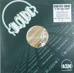 Krayzie Bone : If They Only Knew (12", Promo)