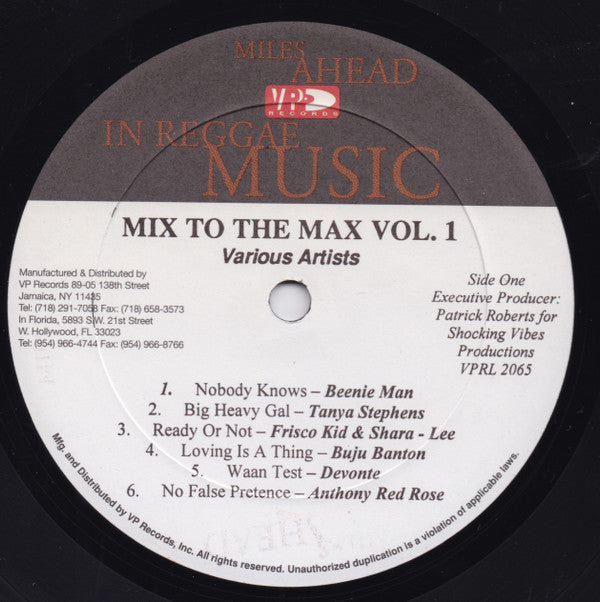 Various : Mix To The Max Volume 1 (LP, Comp)
