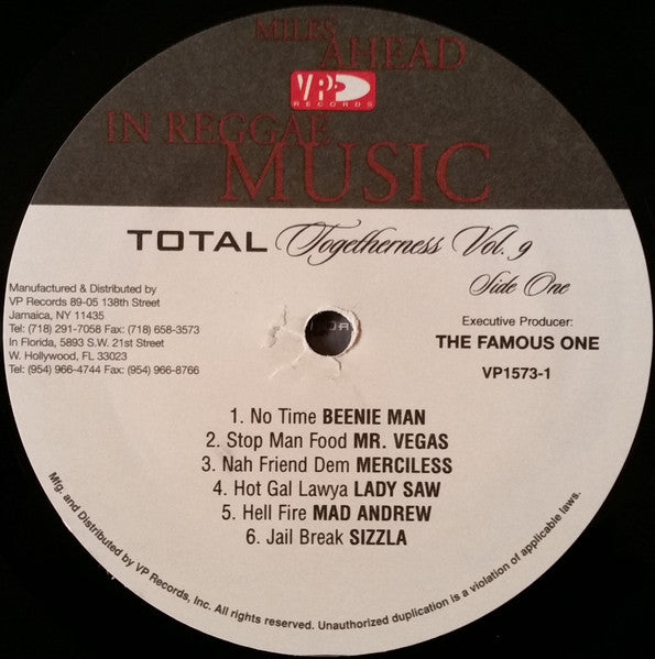 Various : Total Togetherness Volume 9 (LP, Comp)
