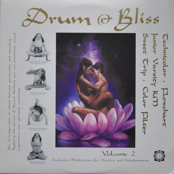 Various : Drum & Bliss V.2 (2x12", Ltd)