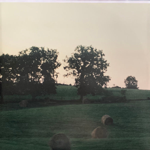 Ben Schneider, Lord Huron : Music for The Starling Girl (Score & Music from the Original Motion Picture) (LP, Album, Tra)