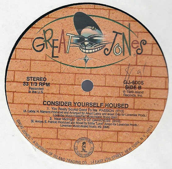 Various : Consider Yourself Housed (12", EP)