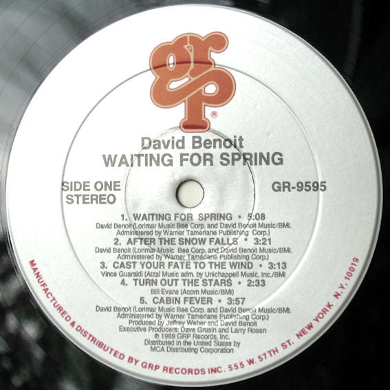 David Benoit : Waiting For Spring (LP)