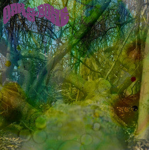 Oak & Bone : Oak & Bone (LP, Album)