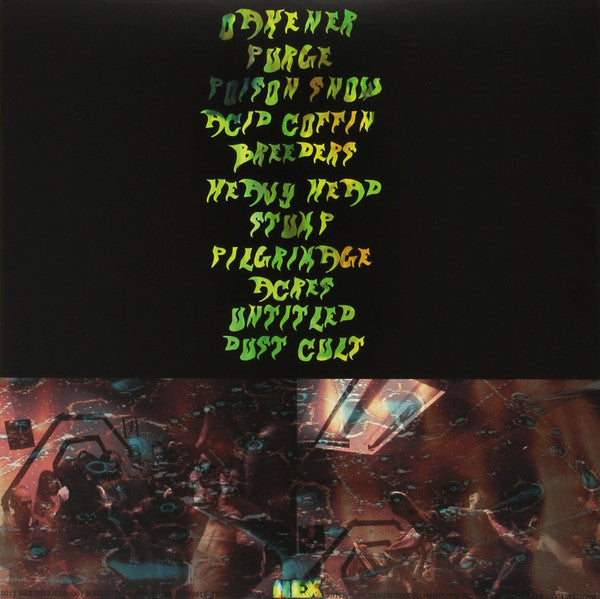 Oak & Bone : Oak & Bone (LP, Album)