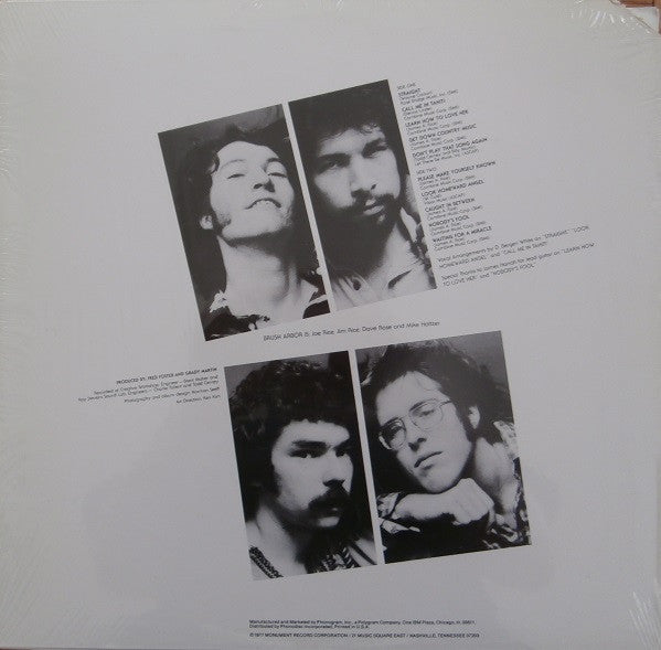 Brush Arbor : Straight (LP, Album)