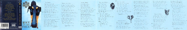 Big Country : Why The Long Face (Cass, Album)