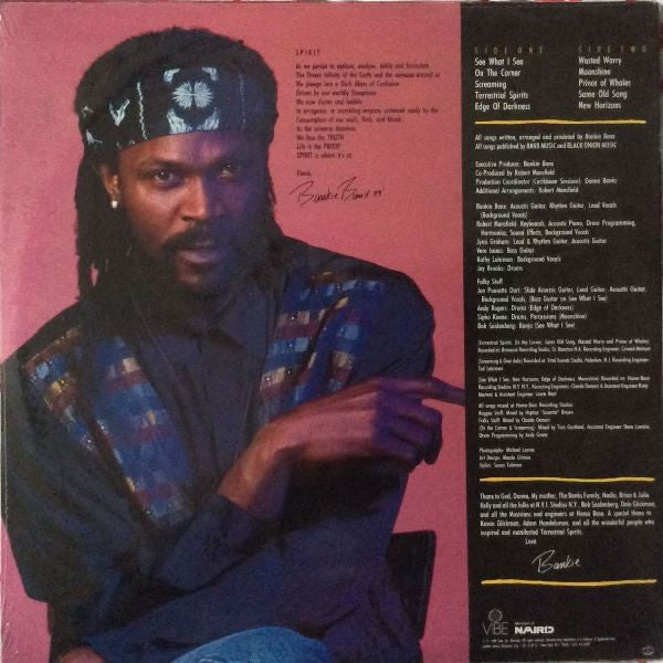 Bankie Banx : Terrestrial Spirits (LP)
