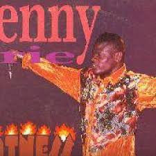 Penny Irie : Hotness (LP, Album)