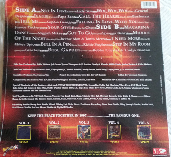 Various : Total Togetherness Vol.6 (LP, Comp)