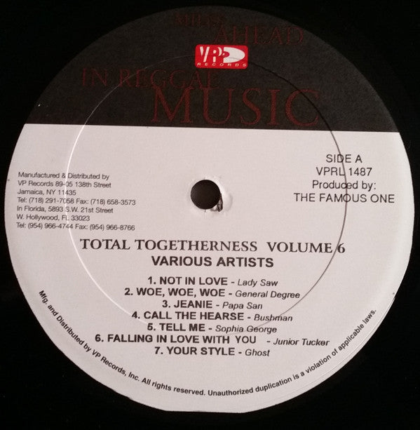 Various : Total Togetherness Vol.6 (LP, Comp)