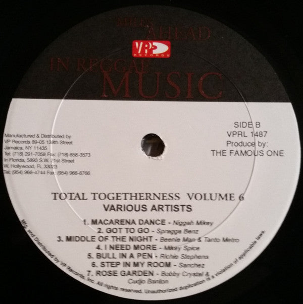 Various : Total Togetherness Vol.6 (LP, Comp)