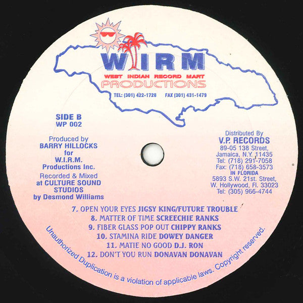Various : W.I.R.M. Productions Presents Reggae Explosion (LP, Comp)