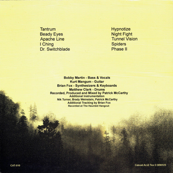 Flying Hair : Night Fight (LP, Album)