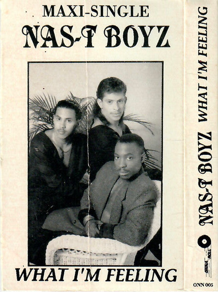 Nas-T Boyz : What I'm Feeling (Cass, Maxi)