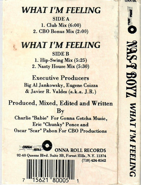 Nas-T Boyz : What I'm Feeling (Cass, Maxi)