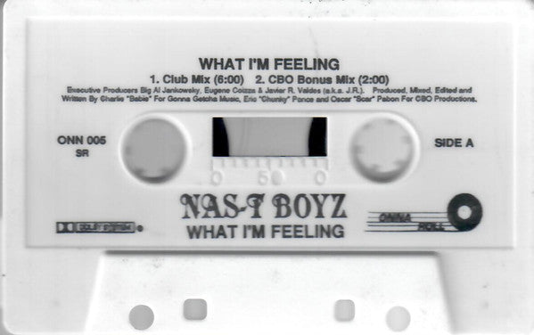 Nas-T Boyz : What I'm Feeling (Cass, Maxi)