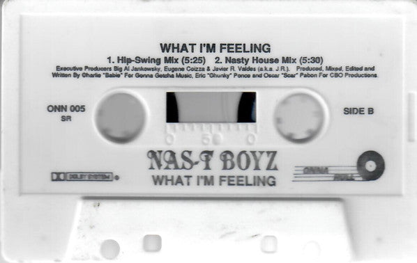 Nas-T Boyz : What I'm Feeling (Cass, Maxi)