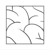 Intellexual : Intellexual (LP, Album)