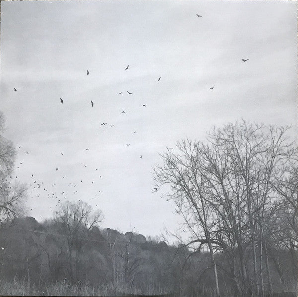 Hackensaw Boys* : A Fireproof House Of Sunshine  (10", EP)