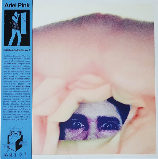 Ariel Pink, Ariel Pink's Haunted Graffiti : Odditties Sodomies Vol. 2 (LP, Comp)