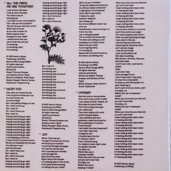 Dreamer Boy : All The Ways We Are Together (2xLP, Album)