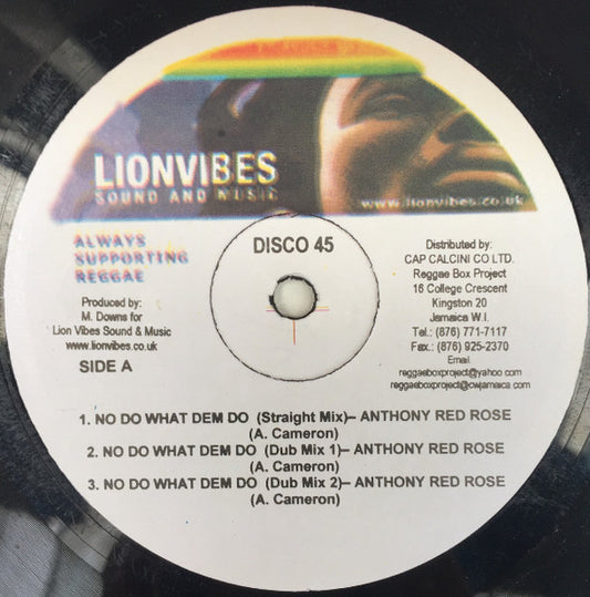 Anthony Red Rose / Robert Lee (2) : No Do What Dem Do / War Is Not The Answer (12", Maxi, Ltd)
