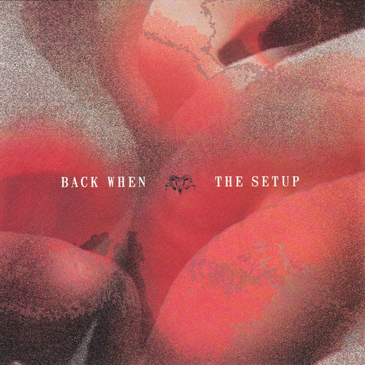 Back When / The Setup (3) : Back When / The Setup (7")