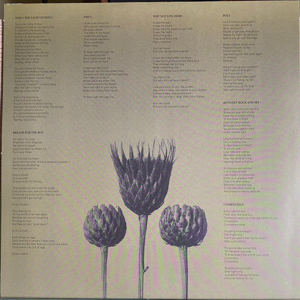 Joan Shelley : The Spur (LP, Album, Club, Ltd, Num, Sil)