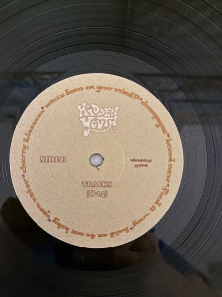 Surfaces : Hidden Youth (LP, Album)