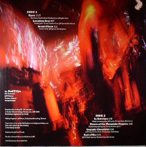 The Bad Trips : Open (LP, Album, Ltd)
