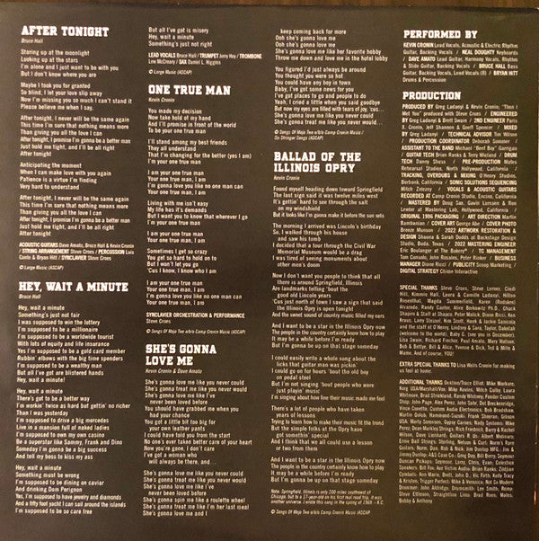 REO Speedwagon : Building The Bridge (2xLP, Album)