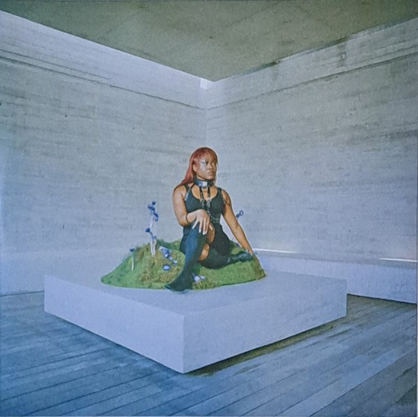 Sampa The Great : As Above So Below (LP, Album)