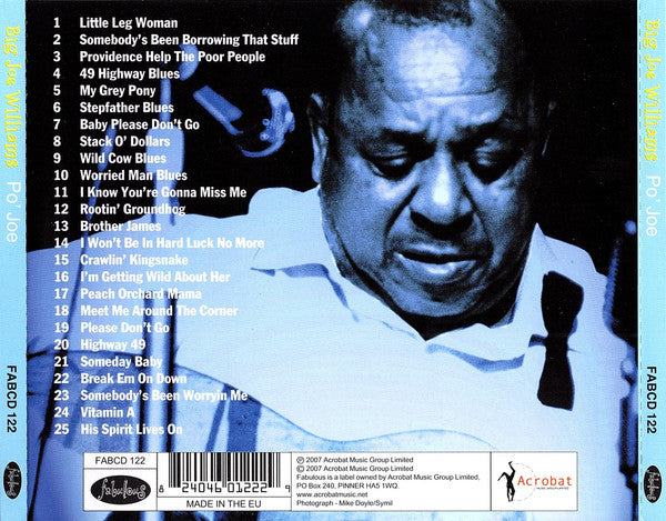 Big Joe Williams : Po' Joe (CD, Comp, RE)