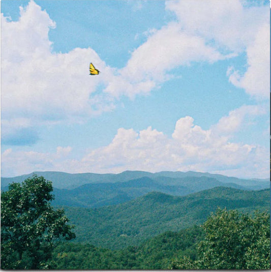 The Brook & The Bluff : Bluebeard (LP, Album, Blu)