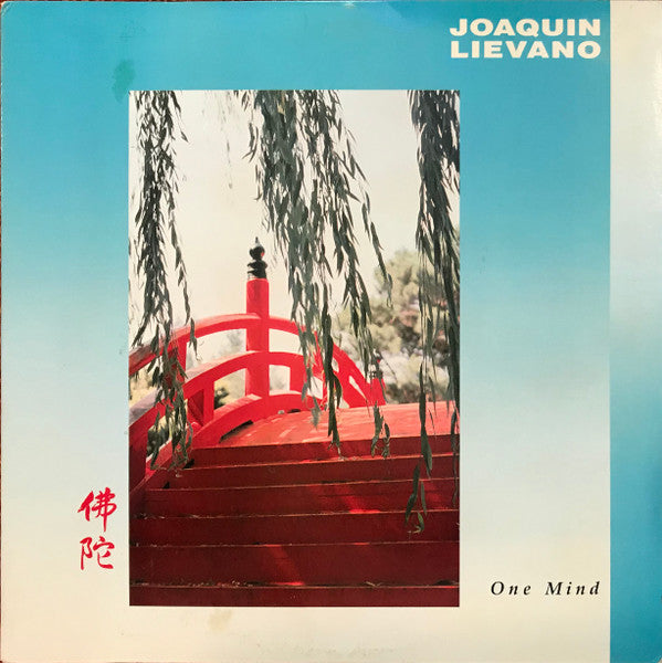 Joaquin Liévano : One Mind (LP, Album)