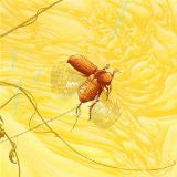 The Blinding Light : Junebug (CD, Album)