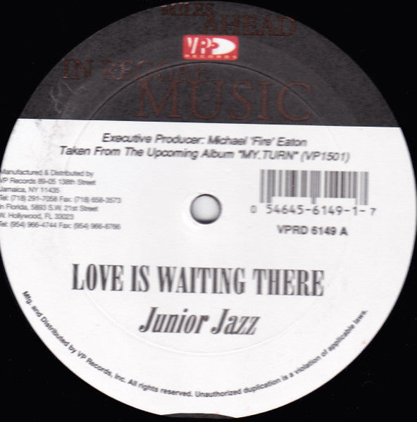 Junior Jazz : Love Is Waiting There (12")