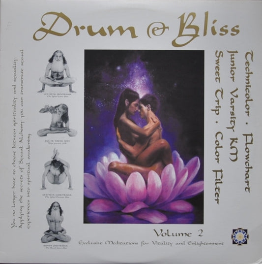 Various : Drum & Bliss V.2 (2x12", Ltd)