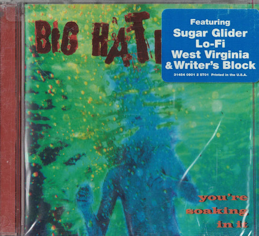 Big Hate : You're Soaking In It (CD, Album)