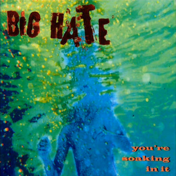 Big Hate : You're Soaking In It (CD, Album)